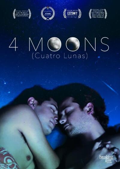 Gay Movie : 4 LUNAS 2014