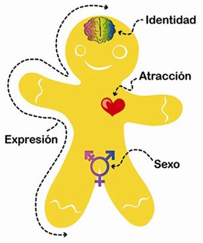 PERÚ : Proyecto de Ley de Identidad de Genero. PL Nro 790